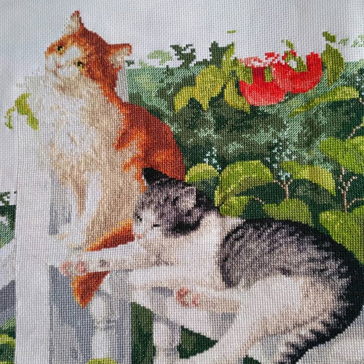 Изображение к отзыву Имка(@imkavolsheva) №2