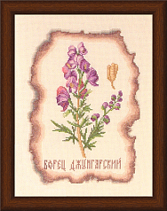 Вышивка КК-005 Борец джунгарский Вышивка КК-005 Борец джунгарский